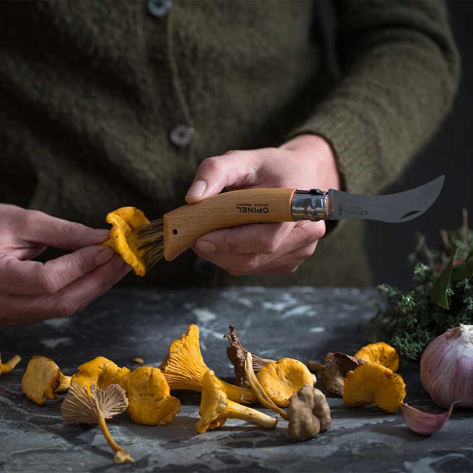 champignon.jpg-1