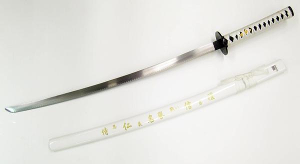 ZS501W