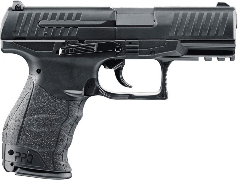 ppq_2
