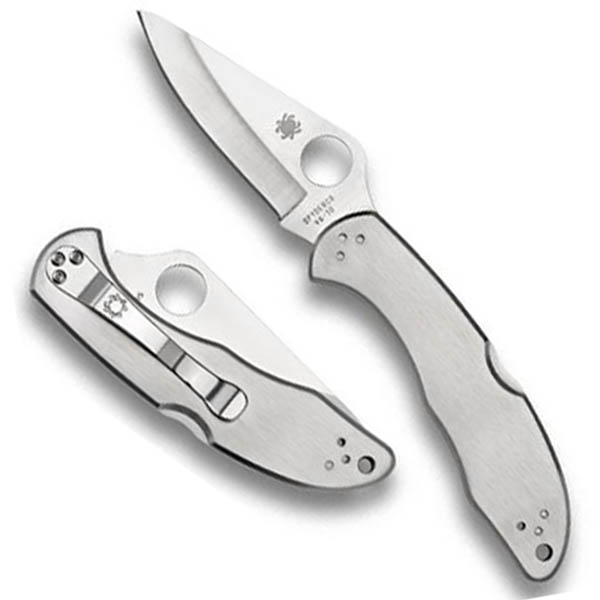 DELICA 4 SILVER_1