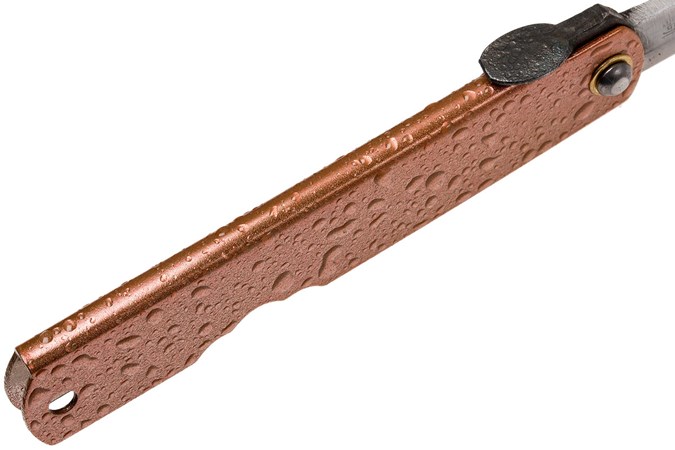 HIGO29_1