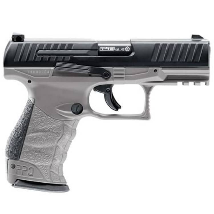 ppq t4e GREY_2