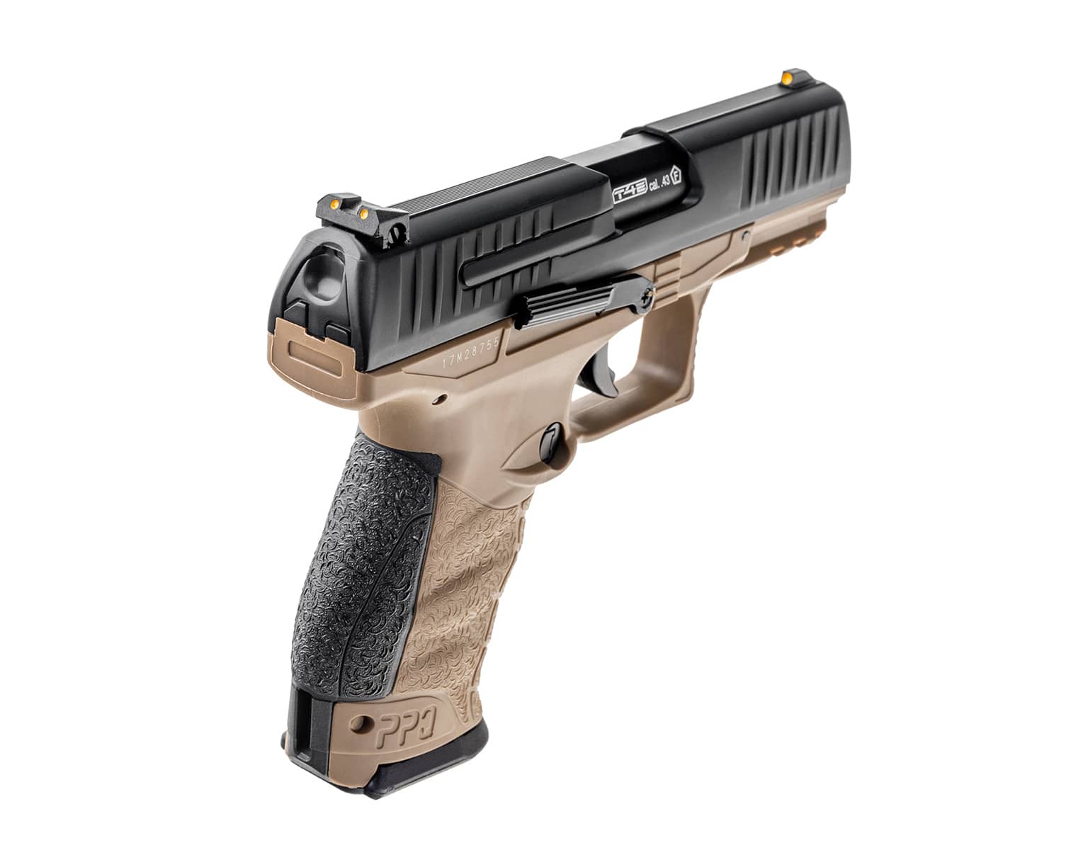 ppq t4e TAN_1