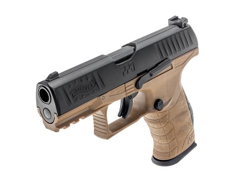 ppq t4e TAN_2