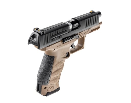 ppq t4e TAN_3