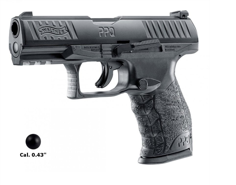 ppq t4e