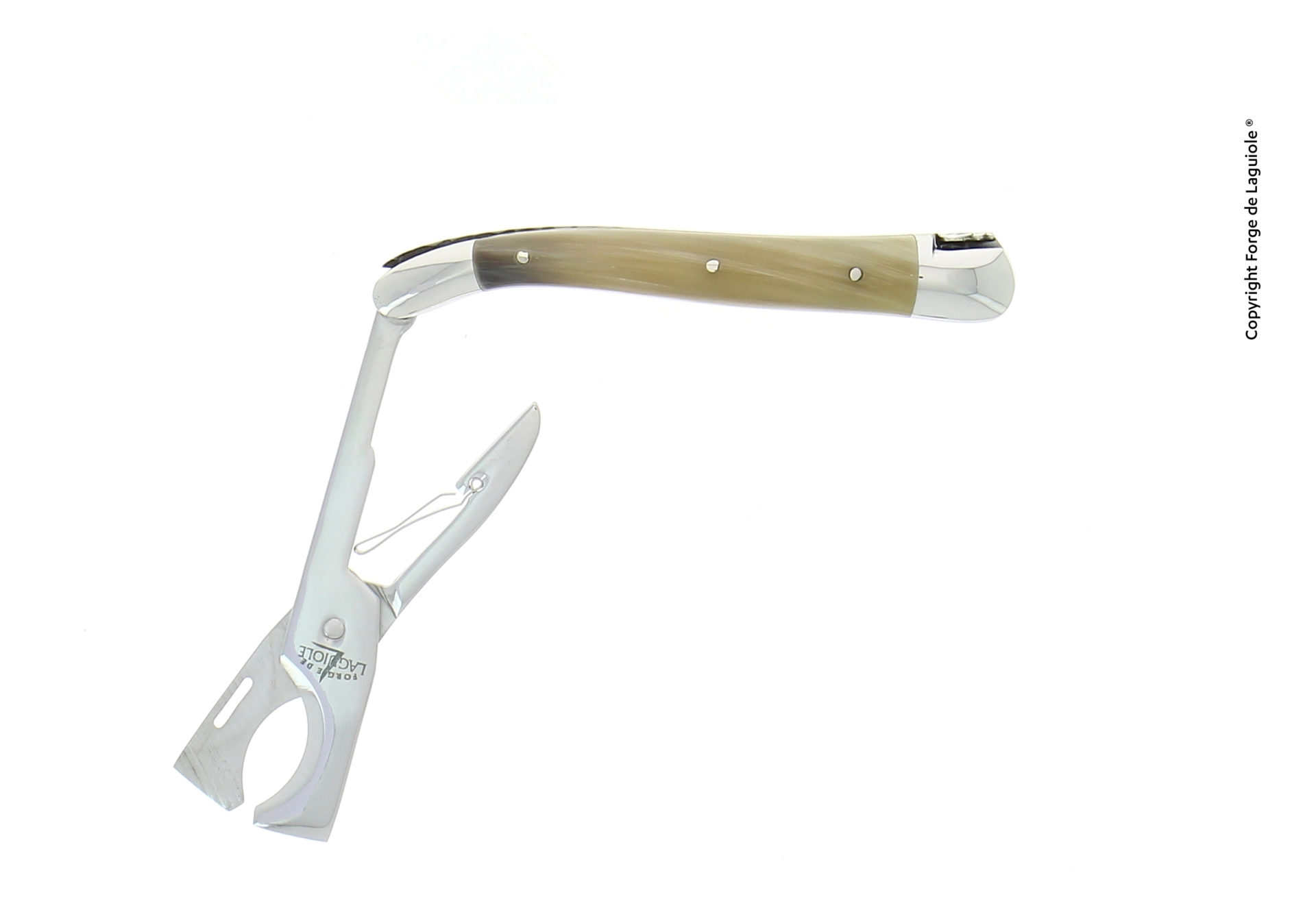 COUP-BC-2