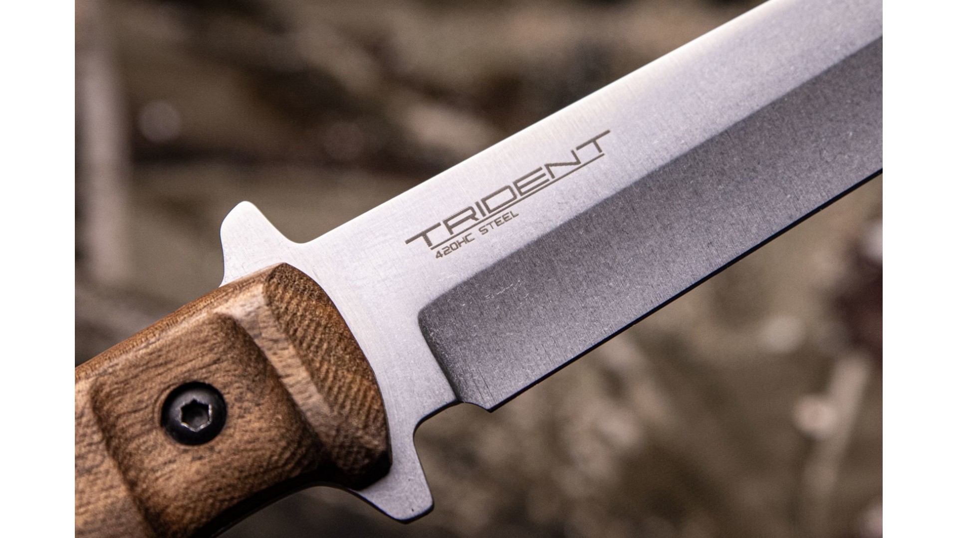 Trident_420_HC_SW_WH__5_of_5_-min-1920x1080