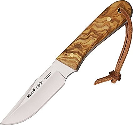 bison-9ol