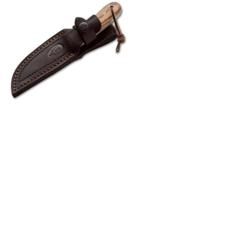 bison-9ol_1