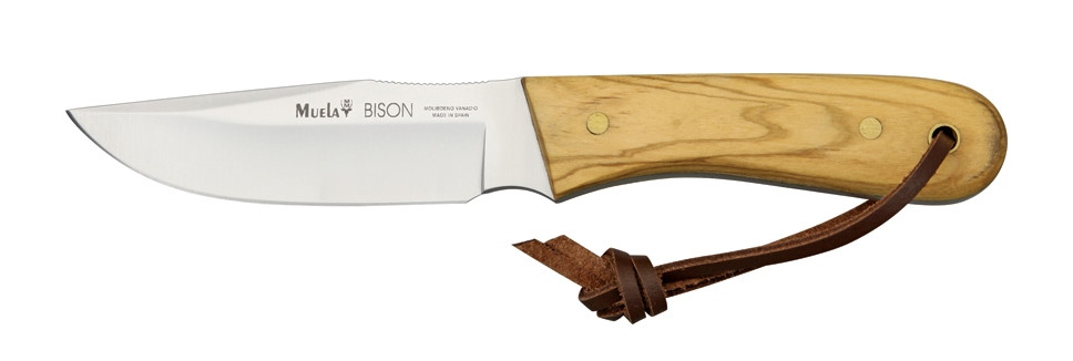 bison-9ol_2
