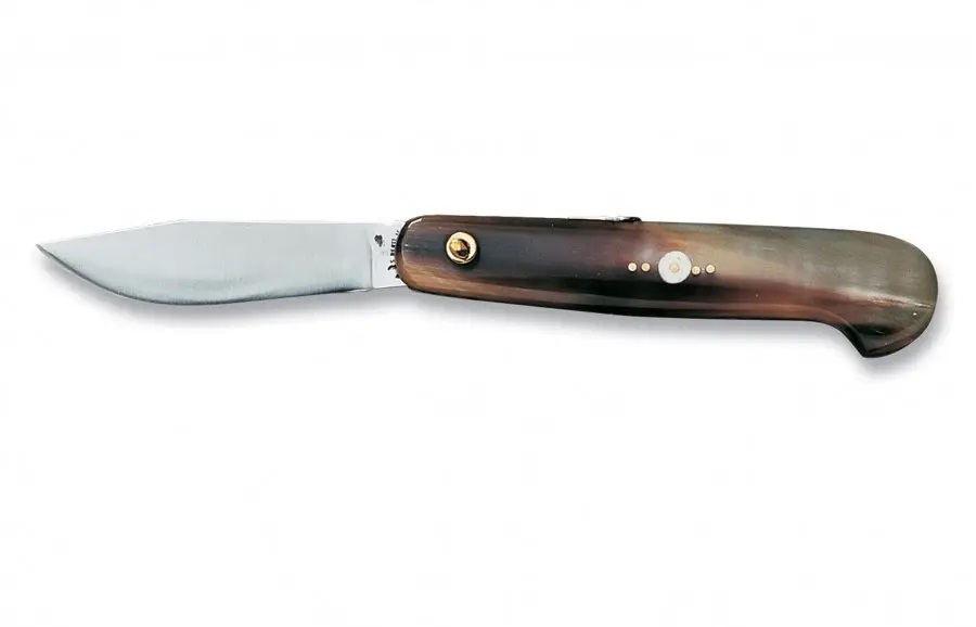66 castrino