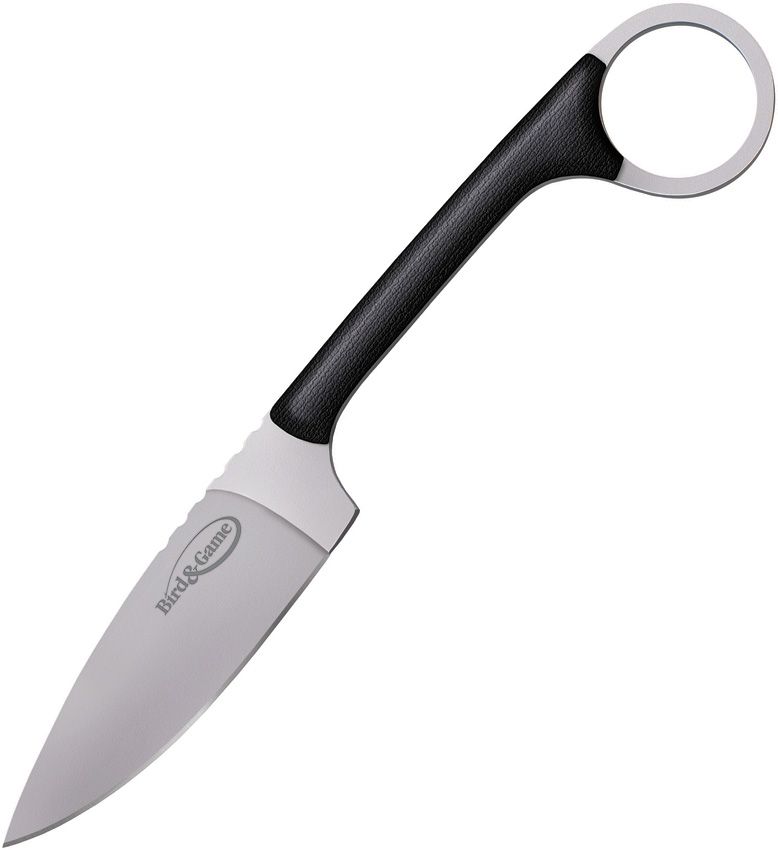 CS20A