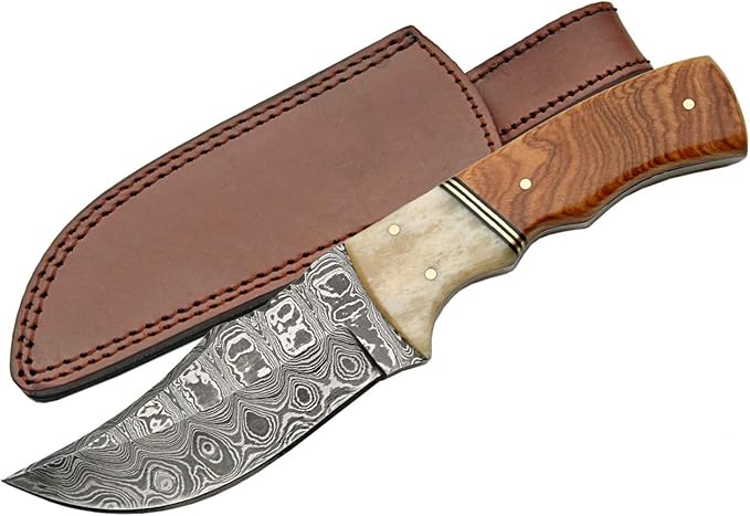 DM1079-1