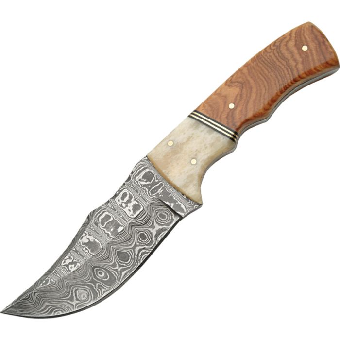 DM1079