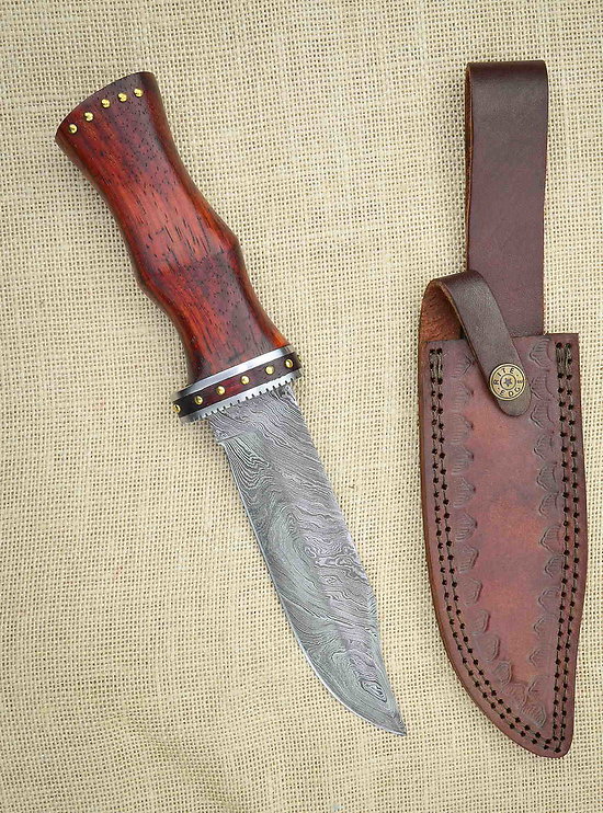 DM1170-1