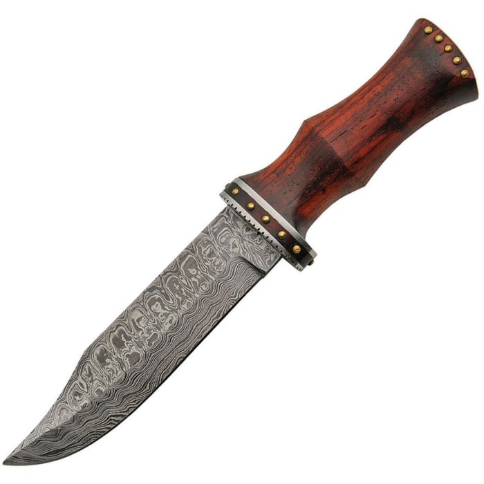 DM1170