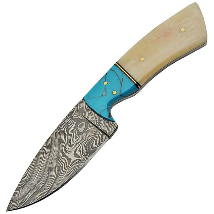DM1186