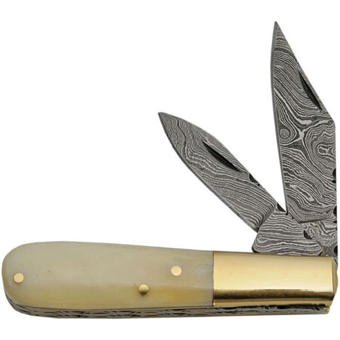 DM1206