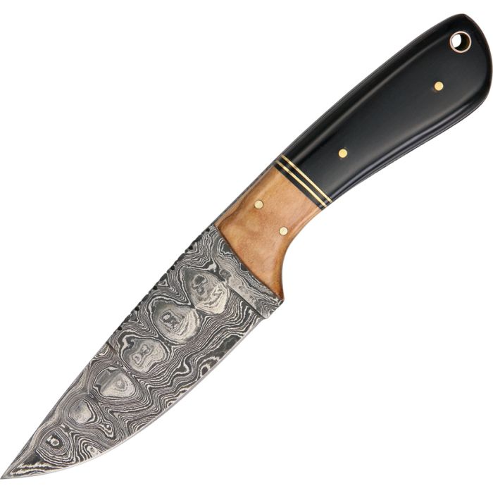 DM1072