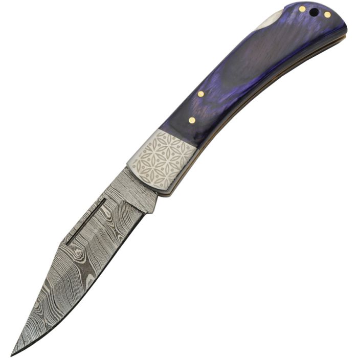 DM1310