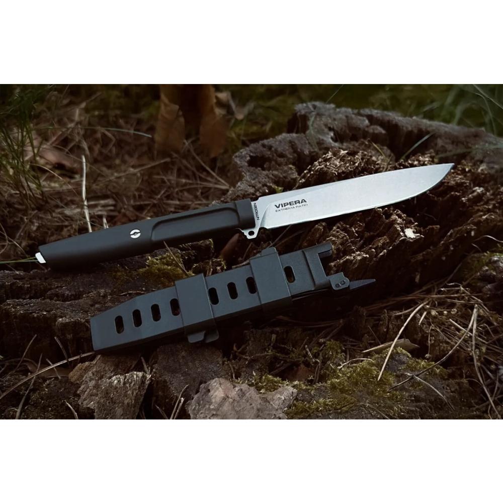 vipera_1